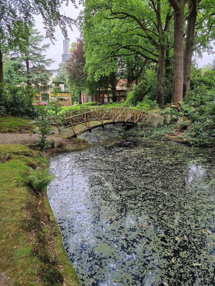 Tuinonderhoud trompenberg hilversum 1 Hovenier in Hilversum