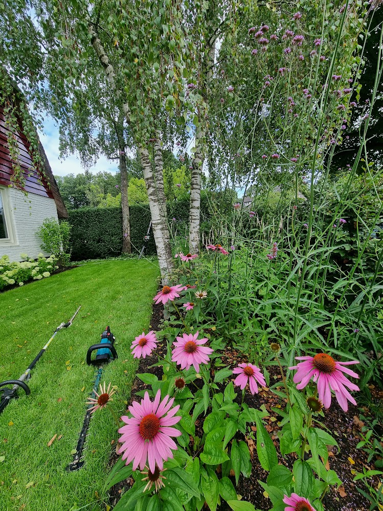tuinonderhoud2 Tuinonderhoud